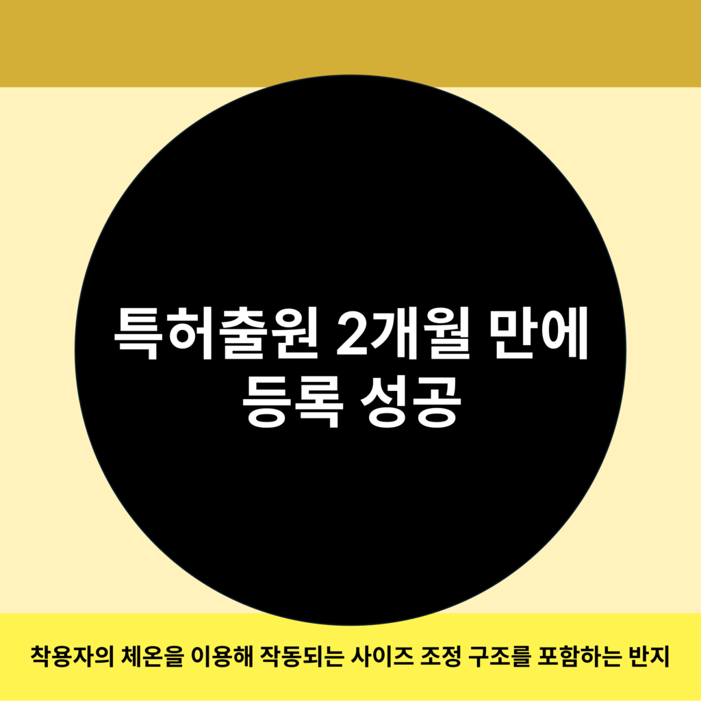 특허출원 성공사례 이미지2